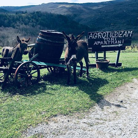 Ferienwohnung Agroturizam Toni Motovun Exterior foto